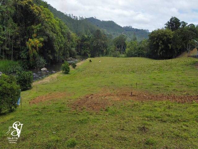 #D0343BN - Casa para Venda em Benedito Novo - SC - 3