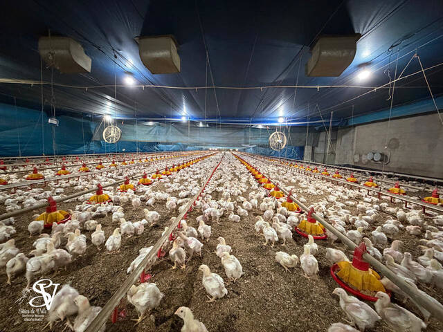 #D0342AP - Chácara para Venda em Apiúna - SC - 1