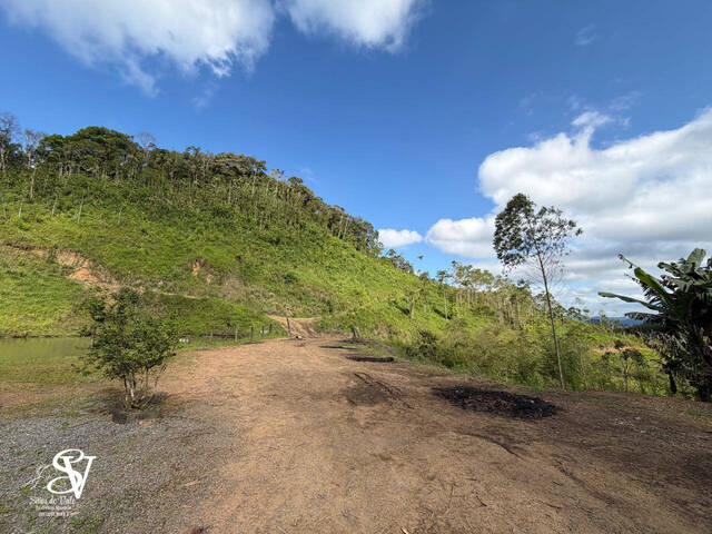 #D0340BN - Chácara para Venda em Benedito Novo - SC - 3