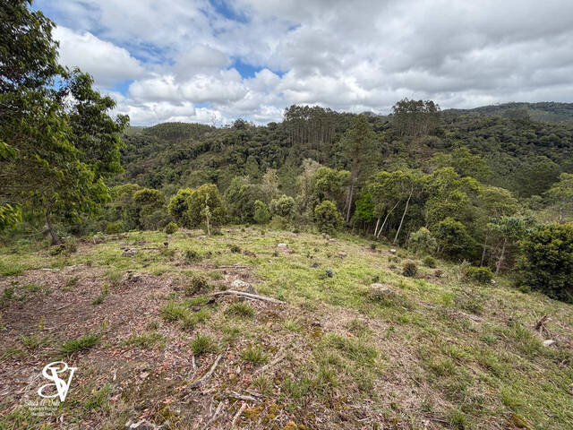 #D0337DP - Área para Venda em Doutor Pedrinho - SC - 2