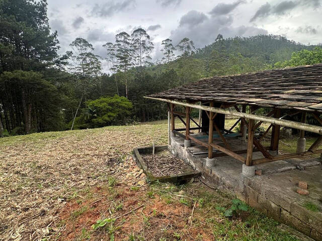 #D0334BN - Chácara para Venda em Benedito Novo - SC - 2
