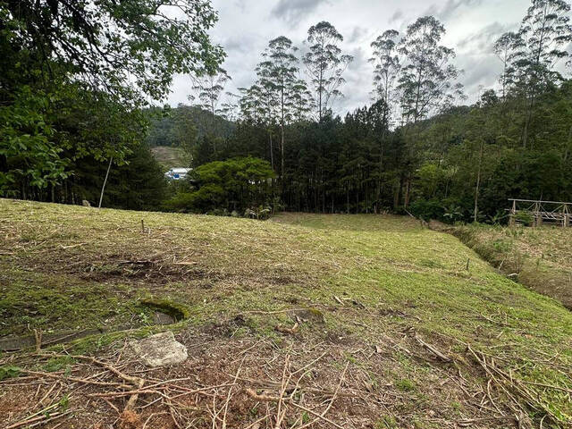 #D0334BN - Chácara para Venda em Benedito Novo - SC - 1