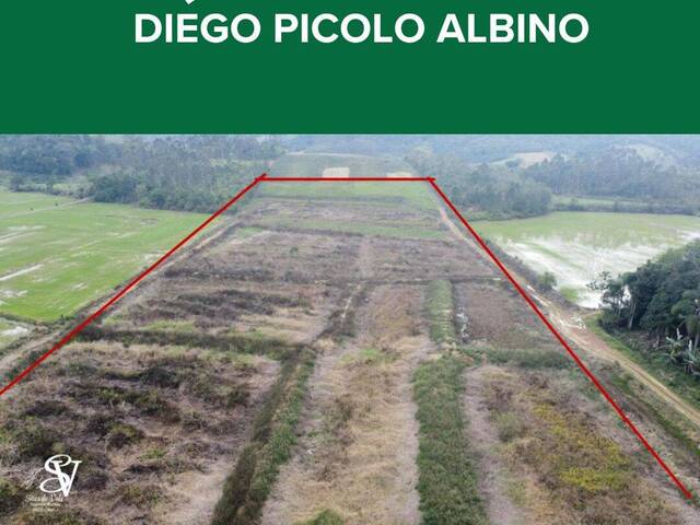 #D0332AS - Chácara para Venda em Ascurra - SC - 3