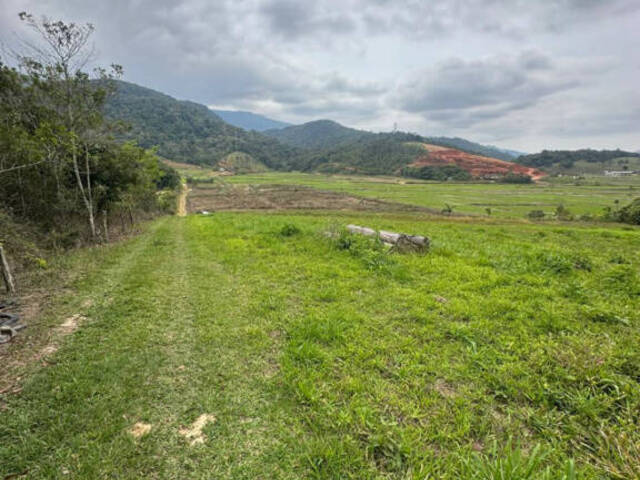 #D0332AS - Chácara para Venda em Ascurra - SC - 1