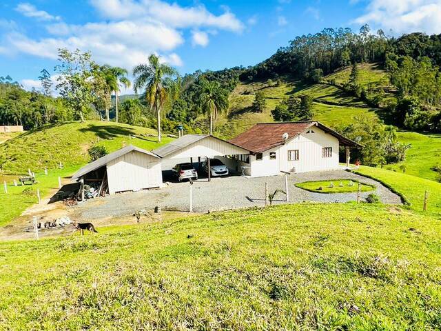 #D0345BN - Chácara para Venda em Benedito Novo - SC - 1