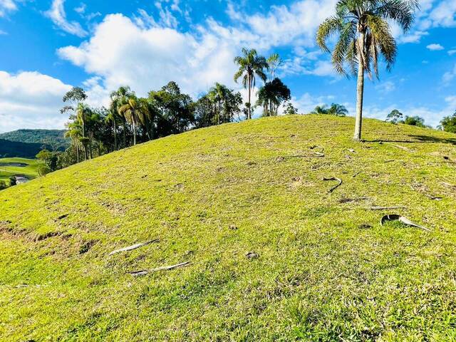 #D0345BN - Chácara para Venda em Benedito Novo - SC - 2