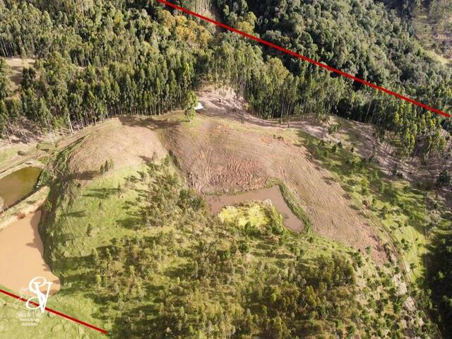 #D0330BN - Chácara para Venda em Benedito Novo - SC - 2