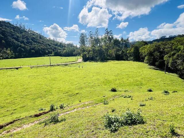 #Z2 - Chácara para Venda em Benedito Novo - SC - 2