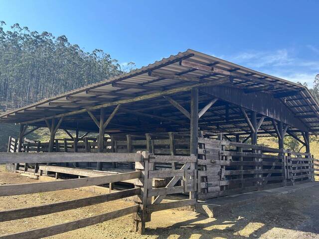 #D0327DP - Chácara para Venda em Doutor Pedrinho - SC - 2