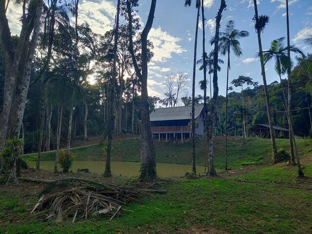 #D0321RO - Chácara para Venda em Rodeio - SC - 1