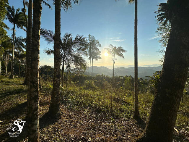 #D0319TB - Chácara para Venda em Timbó - SC