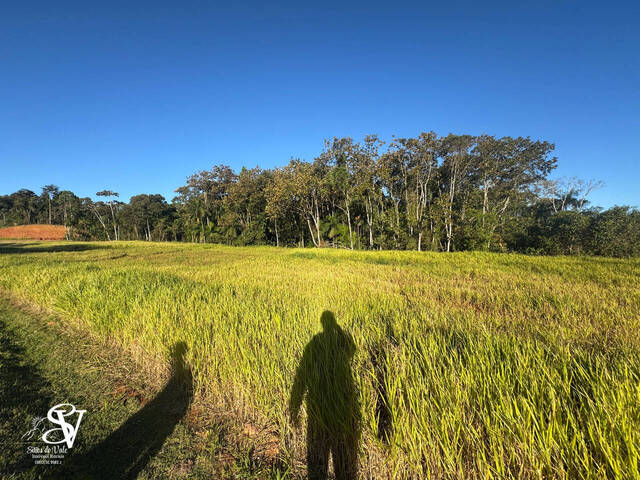 #D0318TB - Área para Venda em Timbó - SC - 3