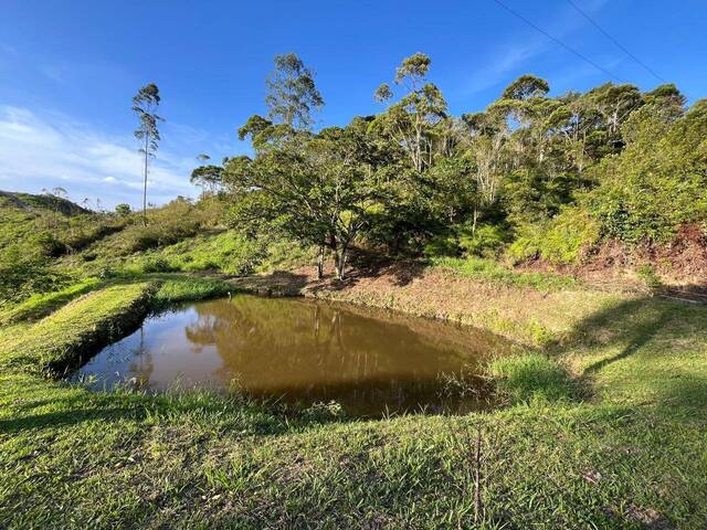 #D0317AS - Chácara para Venda em Ascurra - SC - 3
