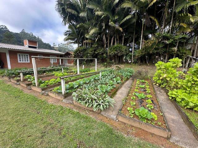 #D0313RO - Chácara para Venda em Rodeio - SC - 2
