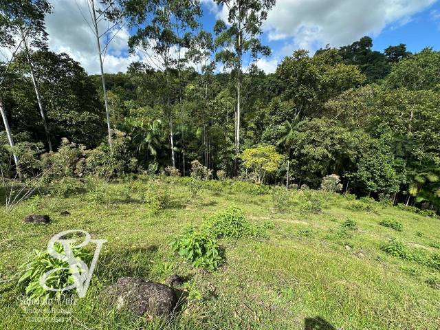 #D0289TB - Área para Venda em Timbó - SC