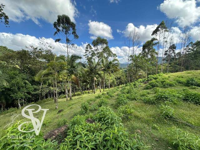 #D0289TB - Área para Venda em Timbó - SC - 3