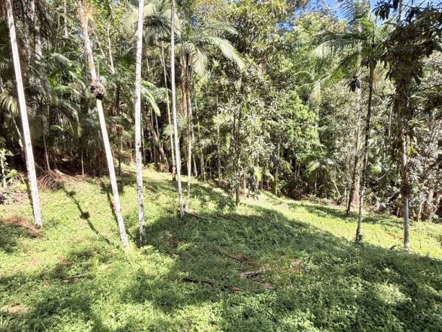 #60 - Área para Venda em Timbó - SC - 2