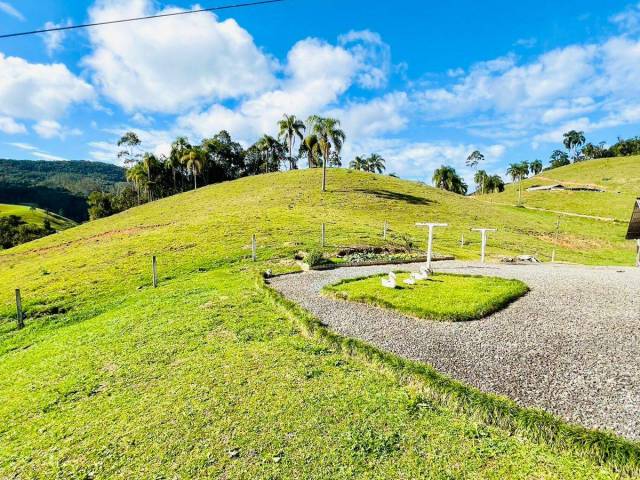 #Z10 - Sítio para Venda em Benedito Novo - SC - 2