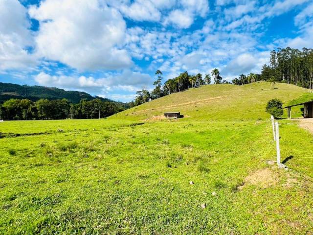 #Z10 - Sítio para Venda em Benedito Novo - SC - 3