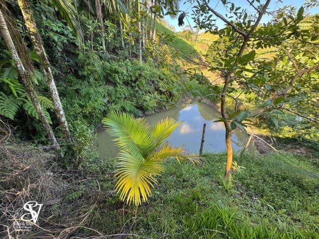 #D0356AS - Chácara para Venda em Ascurra - SC - 2