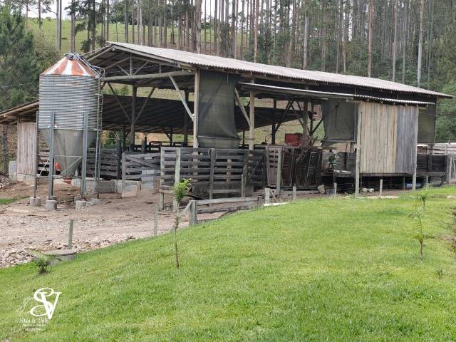 #D0357DE - Chácara para Venda em Timbó - SC - 3