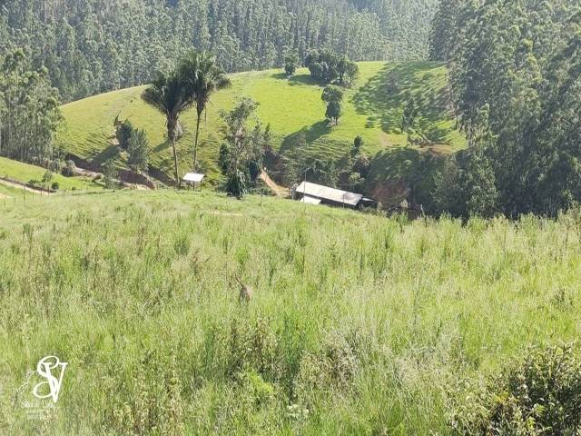 #D0357DE - Chácara para Venda em Timbó - SC - 1