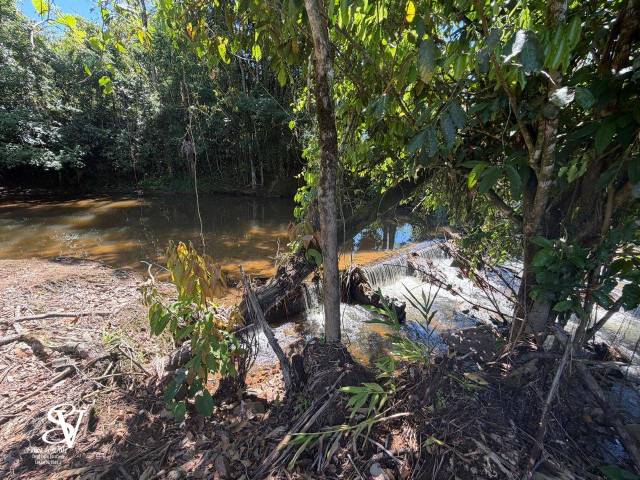 #D0358RC - Chácara para Venda em Rio dos Cedros - SC - 3
