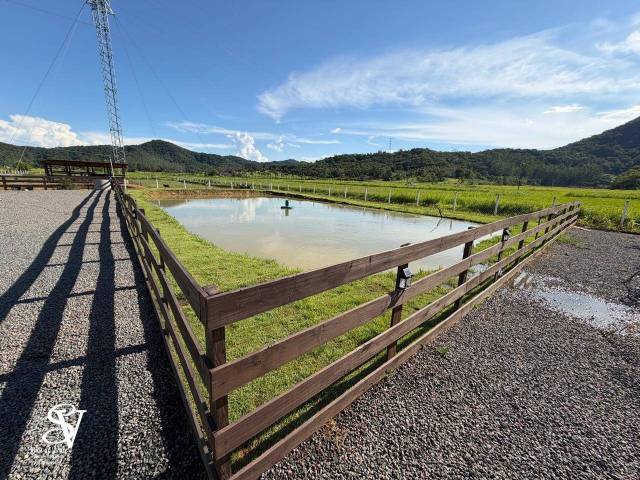 #D0359AS - Chácara para Venda em Ascurra - SC - 2