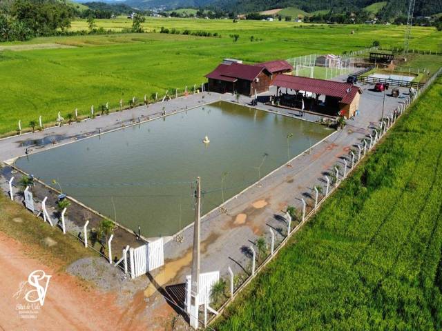 #D0359AS - Chácara para Venda em Ascurra - SC - 1