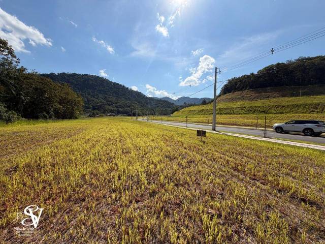 #D0318TB - Área para Venda em Timbó - SC - 3