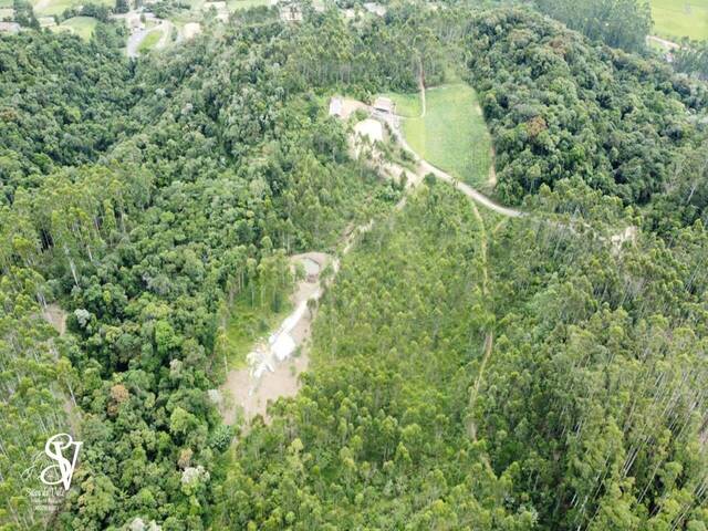 #D0369DP - Chácara para Venda em Doutor Pedrinho - SC - 3