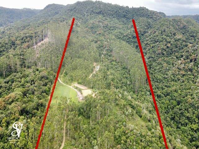 #D0369DP - Chácara para Venda em Doutor Pedrinho - SC - 1