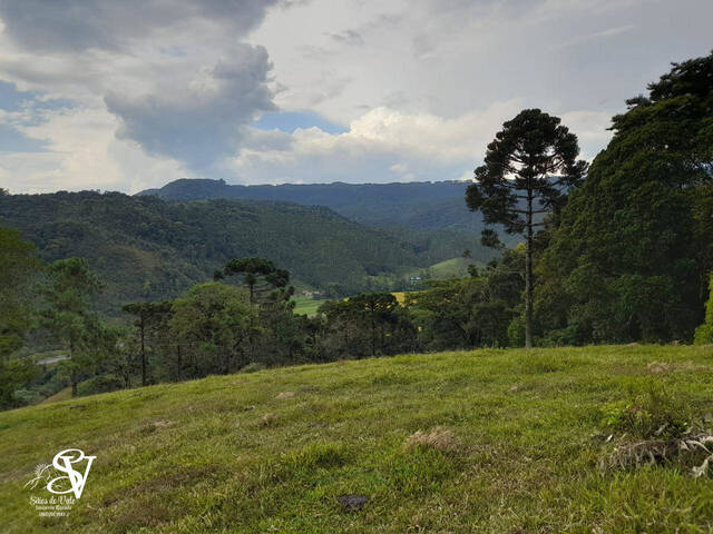 #D0384DP - Chácara para Venda em Doutor Pedrinho - SC - 3