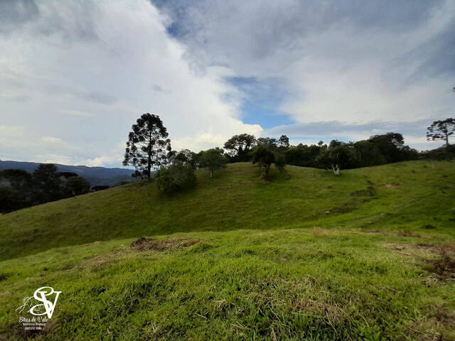 #D0384DP - Chácara para Venda em Doutor Pedrinho - SC - 2