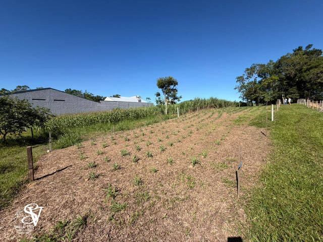 #D0385TB - Área para Venda em Timbó - SC - 2