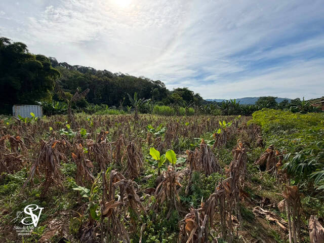 #D0390PO - Área para Venda em Pomerode - SC - 1